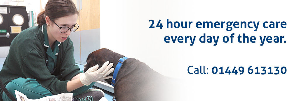 24 hour emergency care every day of the year. Call: 01449 613130